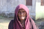 IIP Online Student Photography